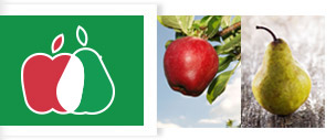 Welcome to Prognosfruit Welcome to Prognosfruit